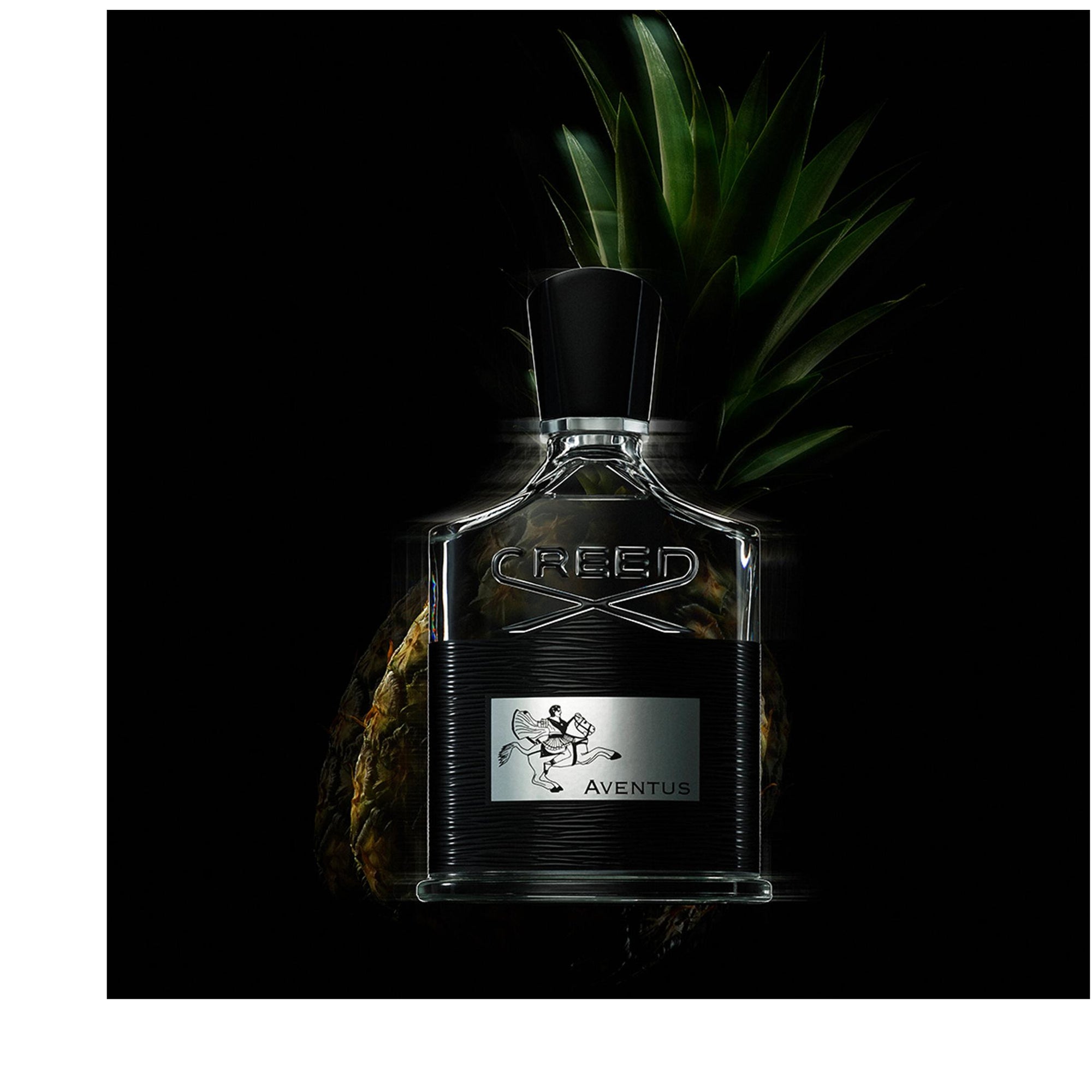 Creed - Aventus - EDP
