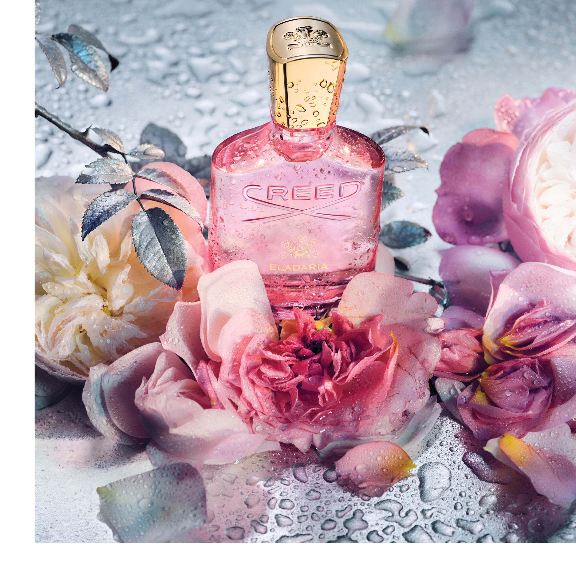 Creed - Eladaria - EDP