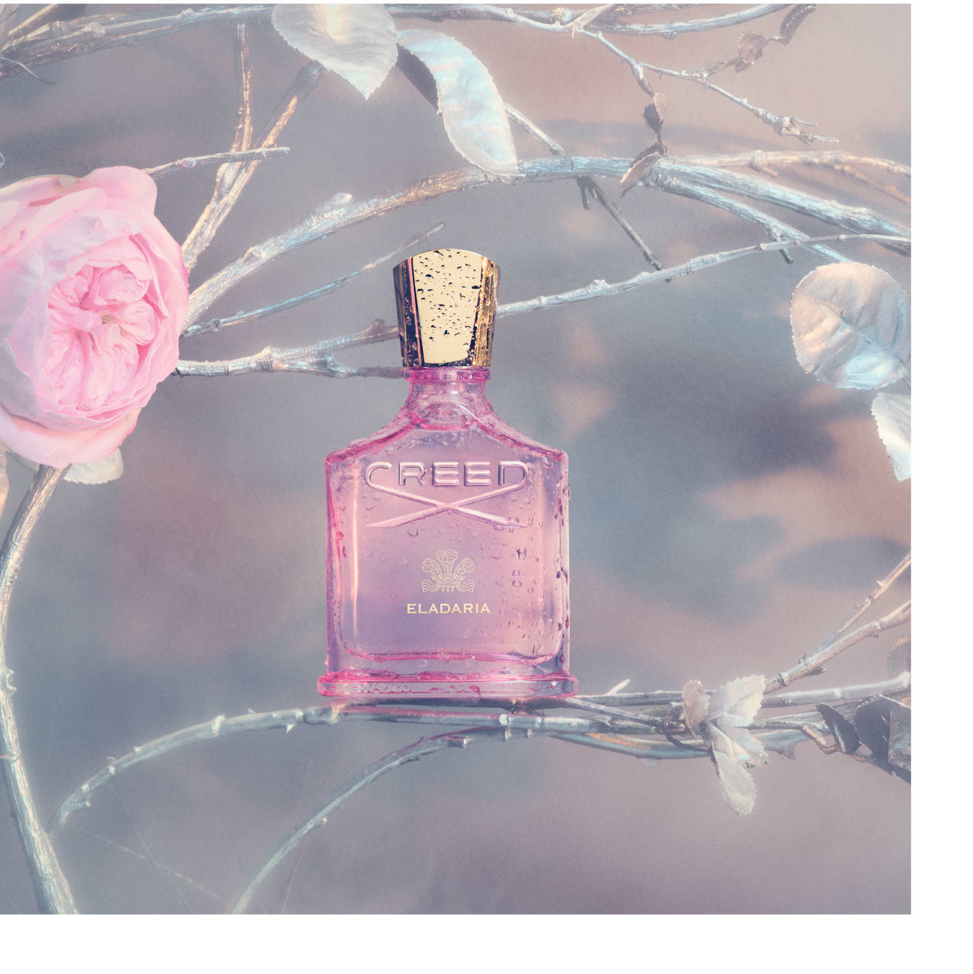 Creed - Eladaria - EDP