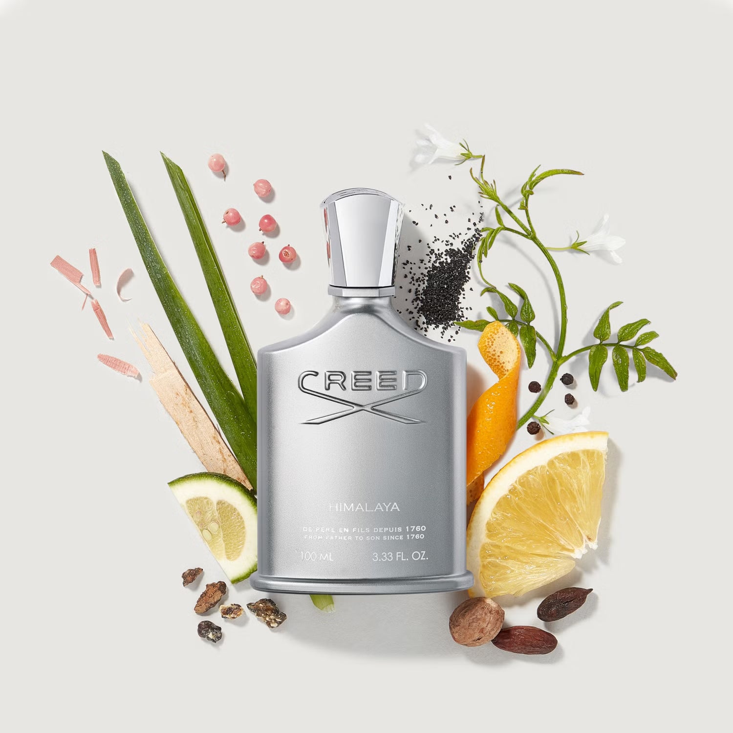 Creed - Himalaya - EDP