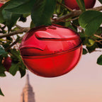 DKNY - Be Tempted - EDP