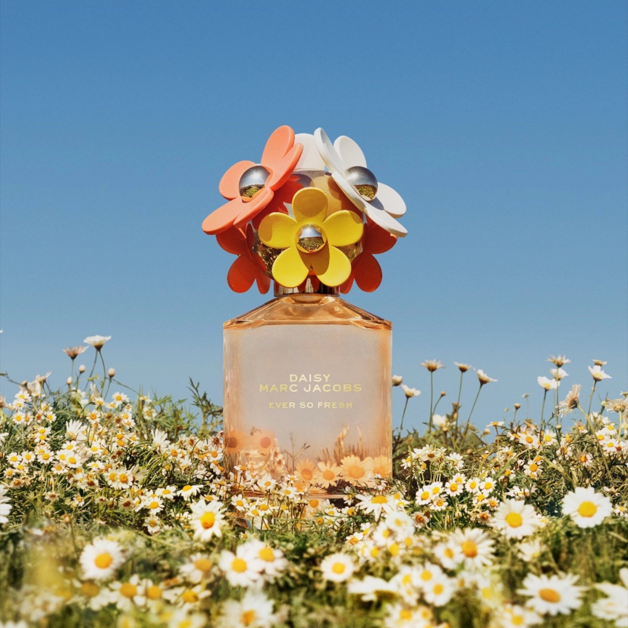 Marc Jacobs - Daisy Ever So Fresh - EDP