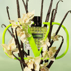 Valentino - Born In Roma Green Stravaganza Donna - EDP