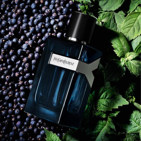 Yves Saint Laurent - Y Intense - EDP