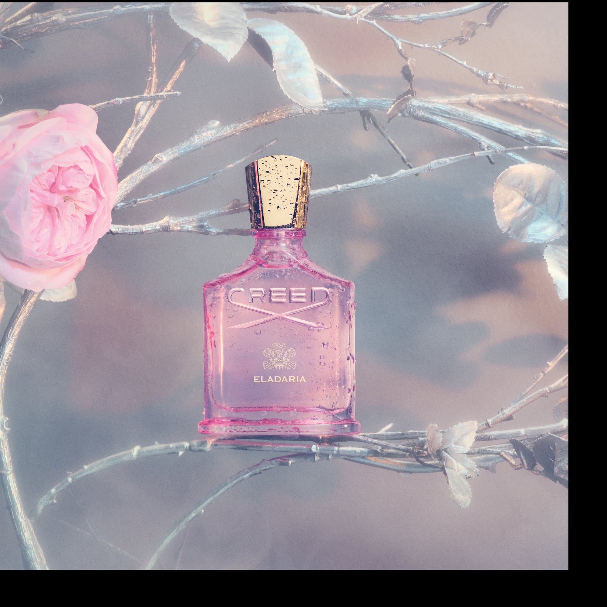 Trosbekännelse - Eladaria - EDP