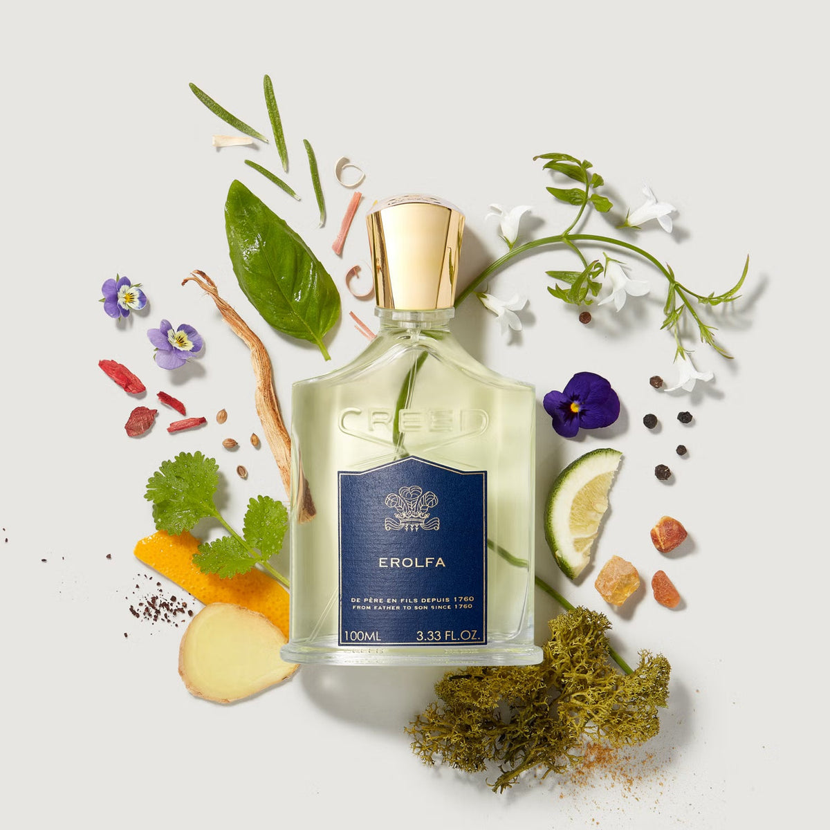 CREED - Erolfa - EDP