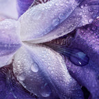 Giorgio Armani - My Way Parfum - EDP