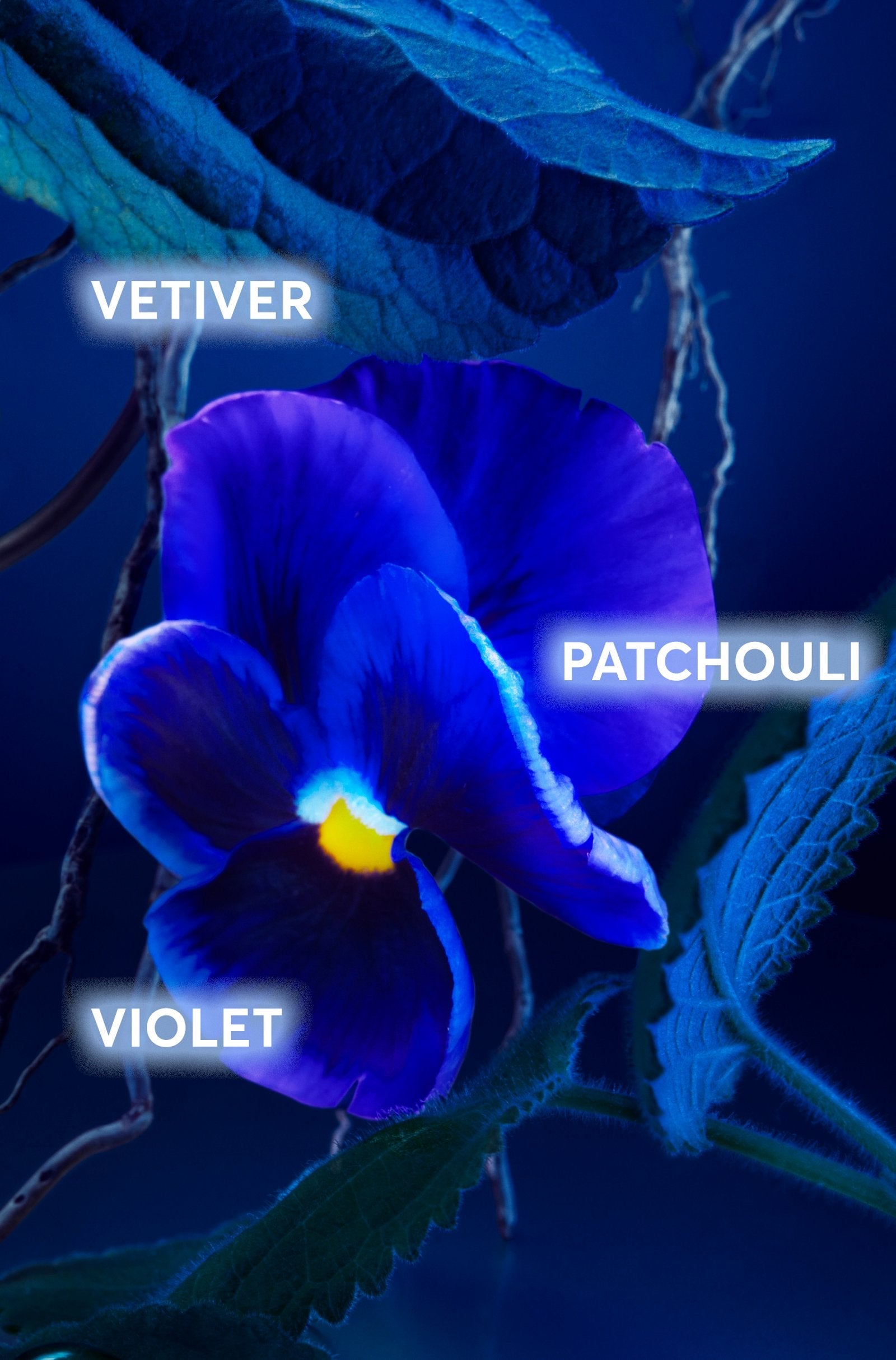 Hugo Boss - BOSS Bottled Triumph Elixir  - EDP