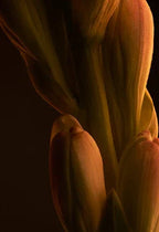 Paco Rabanne – 1 miljon parfym – EDP