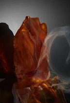 Paco Rabanne – Fame Parfum – EDP