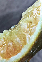 Paco Rabanne – Invictus – EDT