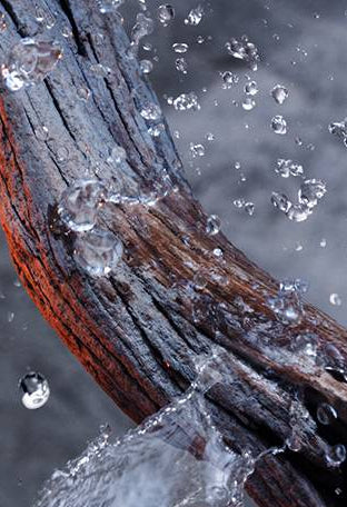 Paco Rabanne – Invictus – EDT