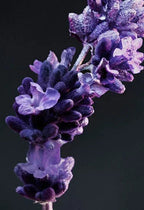 Paco Rabanne – Phantom – EDT