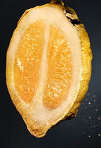 Paco Rabanne – Phantom – EDT