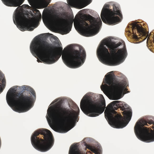 Prada– L'Homme L'Eau  - EDT