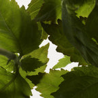 Prada– L'Homme L'Eau  - EDT