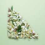 Prada– Paradoxe  – EDP