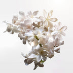 Thierry Mugler - Alien - EDT