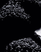 Tom Ford - Black Orchid - EDP