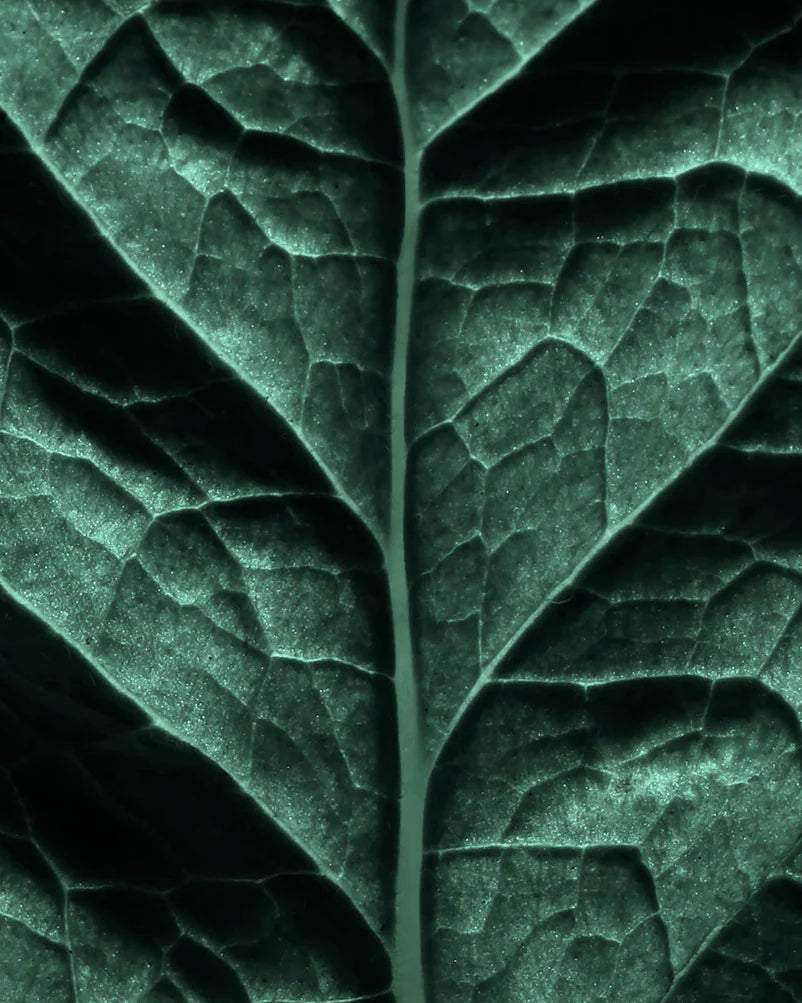 Tom Ford - Black Orchid - EDP