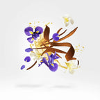 Xerjoff - Aqua Regia - EDP