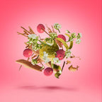 XERJOFF - Elle Anniversary - EDP