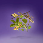 Xerjoff-Laylati - EDP