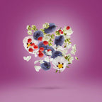 Xerjoff - Muse - EDP