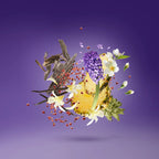 Xerjoff - Purple Accento Crystal Edition - EDP