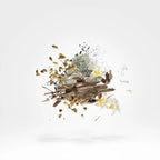 Xerjoff - Symphonium - EDP