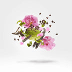 Xerjoff - Tempest - EDP