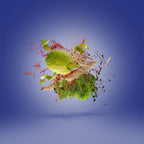 Xerjoff - Torino22 - EDP