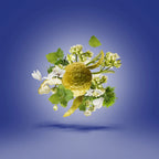 Xerjoff -Torino23 - EDP