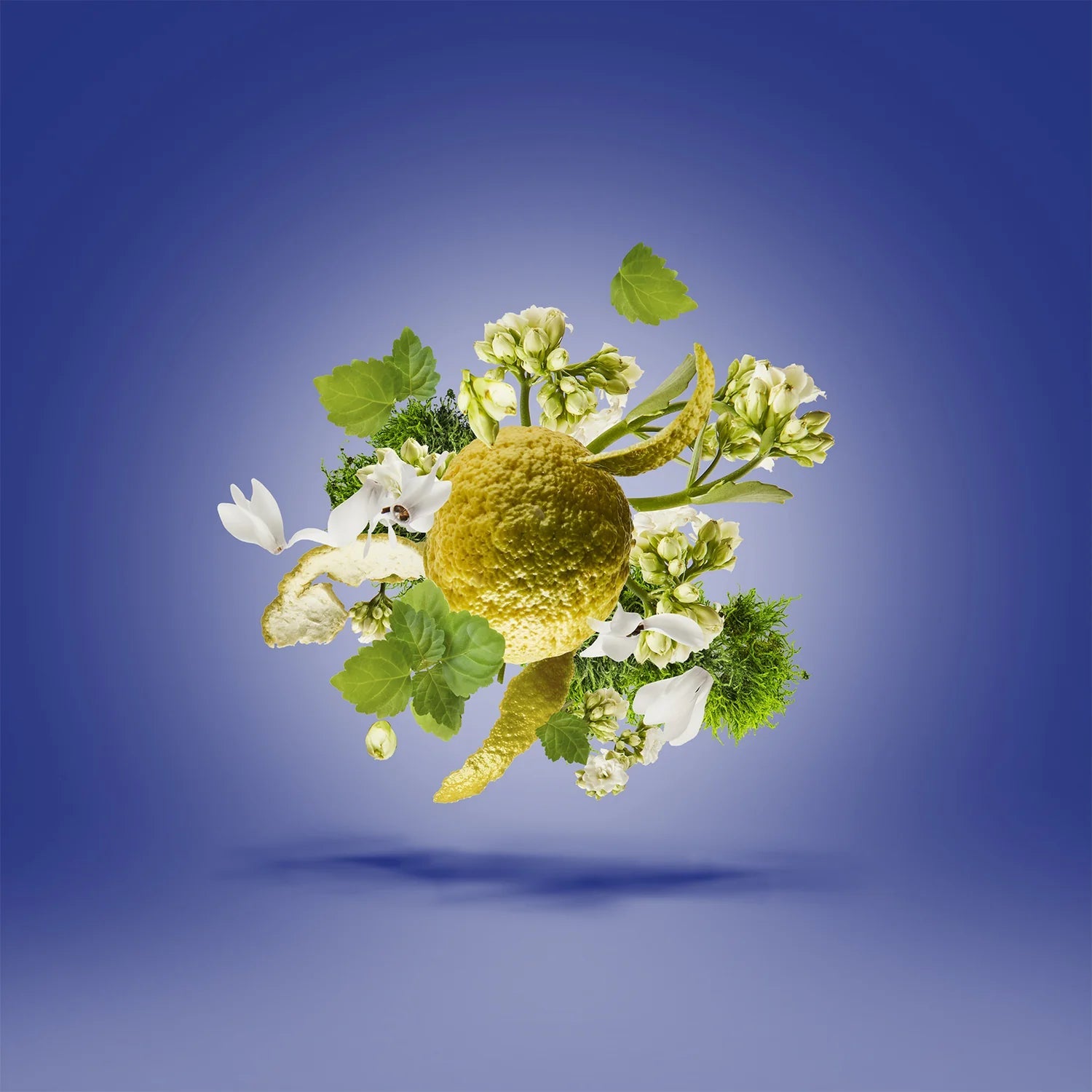 Xerjoff -Torino23 - EDP