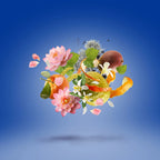 Xerjoff -Torino24 - EDP