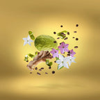 Xerjoff - Uden Overdose - EDP