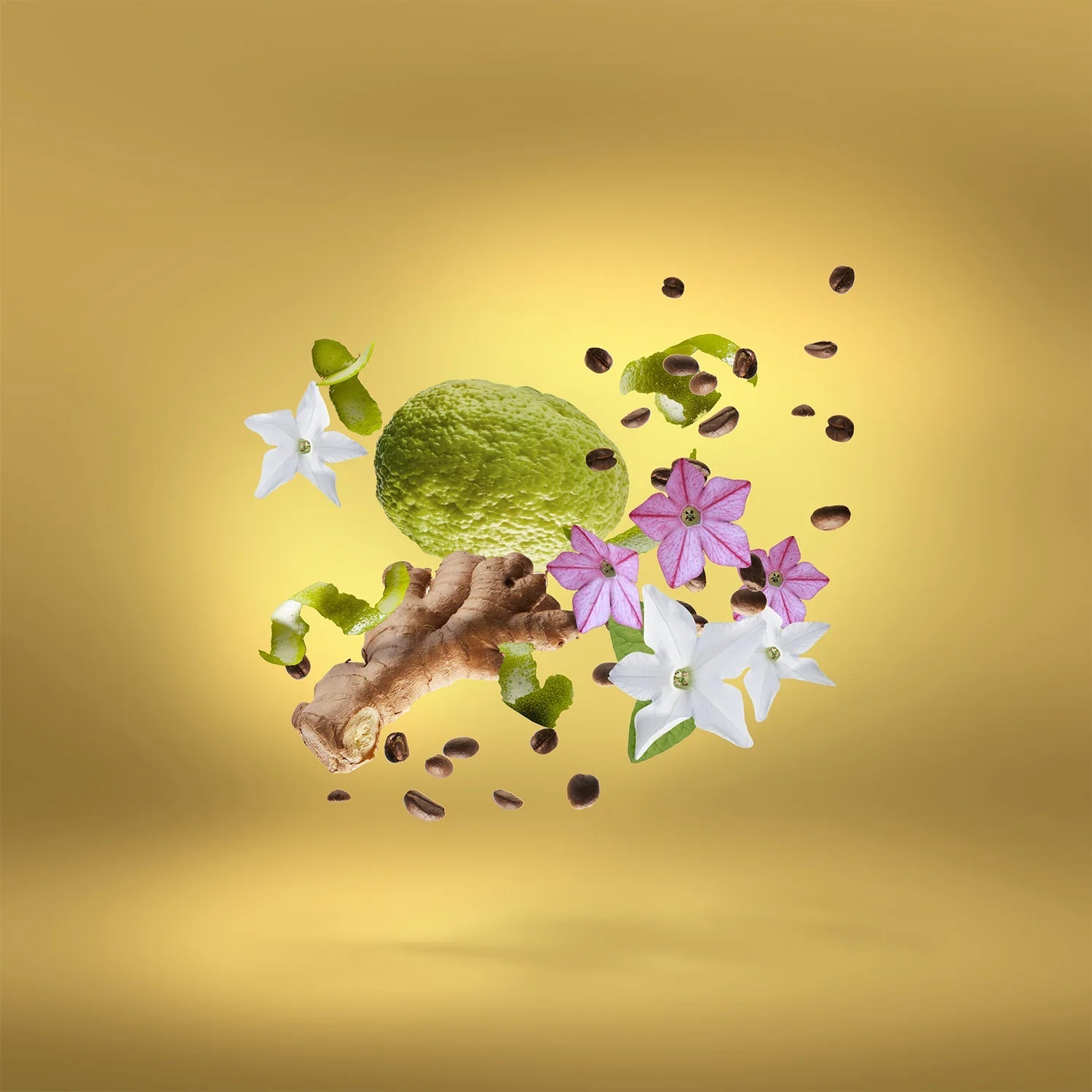 Xerjoff - Uden Overdose - EDP