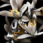 Yves Saint Laurent - Libre L'Absolu Platine -EDP