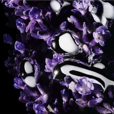 Yves Saint Laurent - Libre L'Absolu Platine -EDP