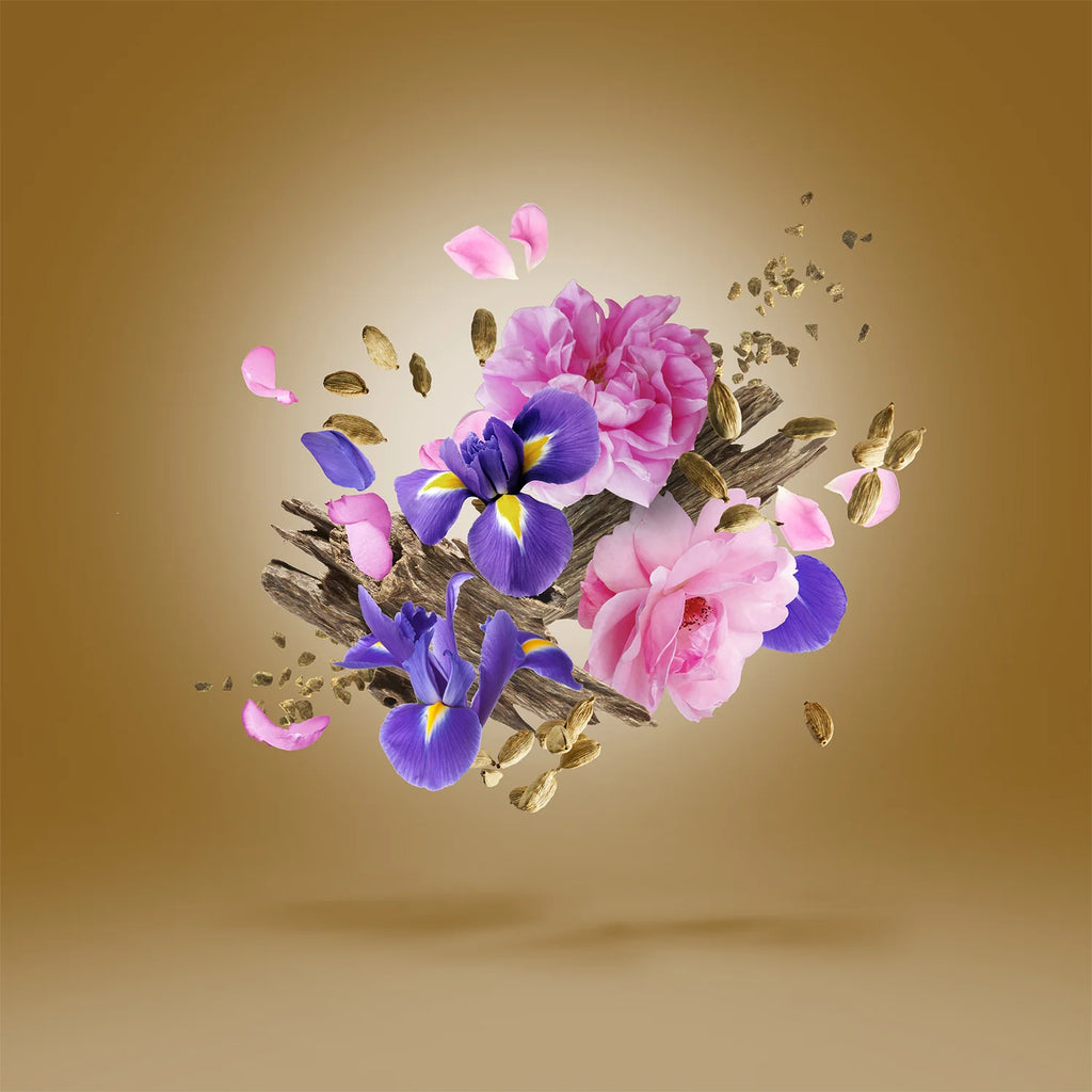 Xerjoff - Alexandria II Anniversary - EDP