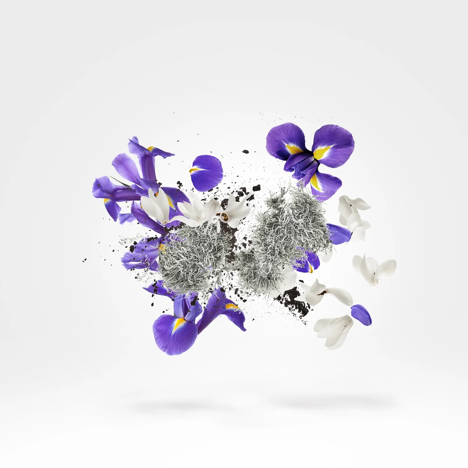 Xerjoff - Apollonia - EDP
