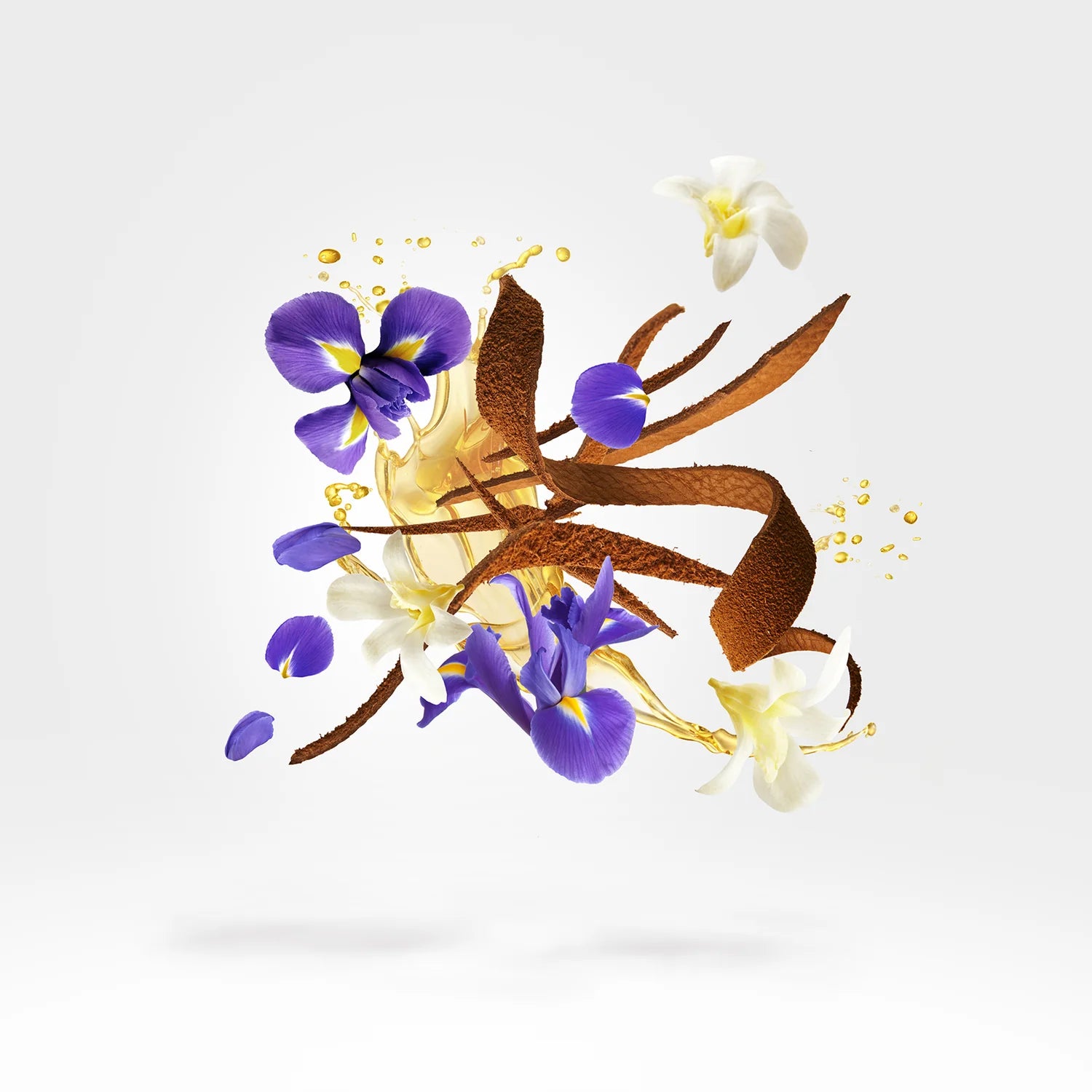 Xerjoff - Aqua Regia - EDP