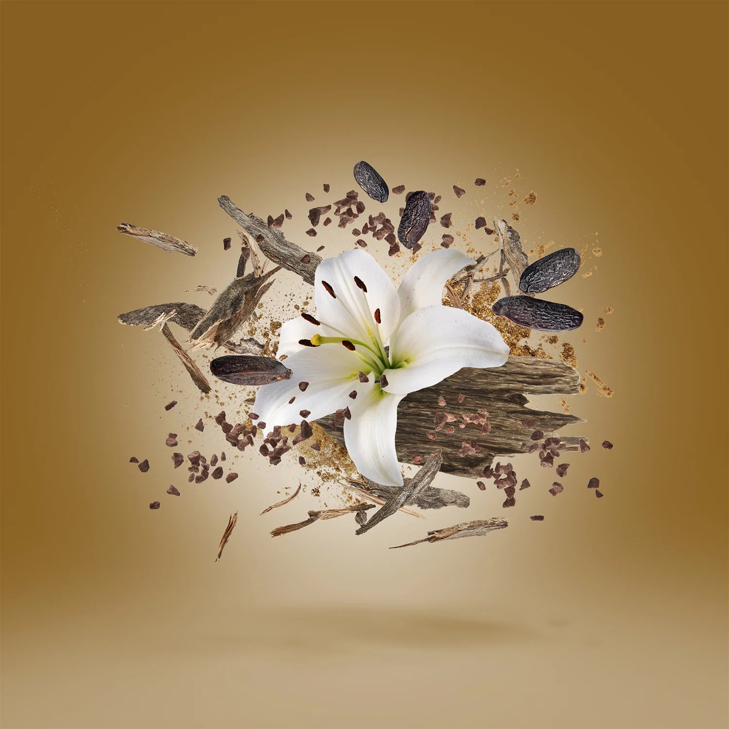 Xerjoff - Malesia - EDP