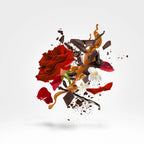 Xerjoff - Via Cavour 1 - EDP